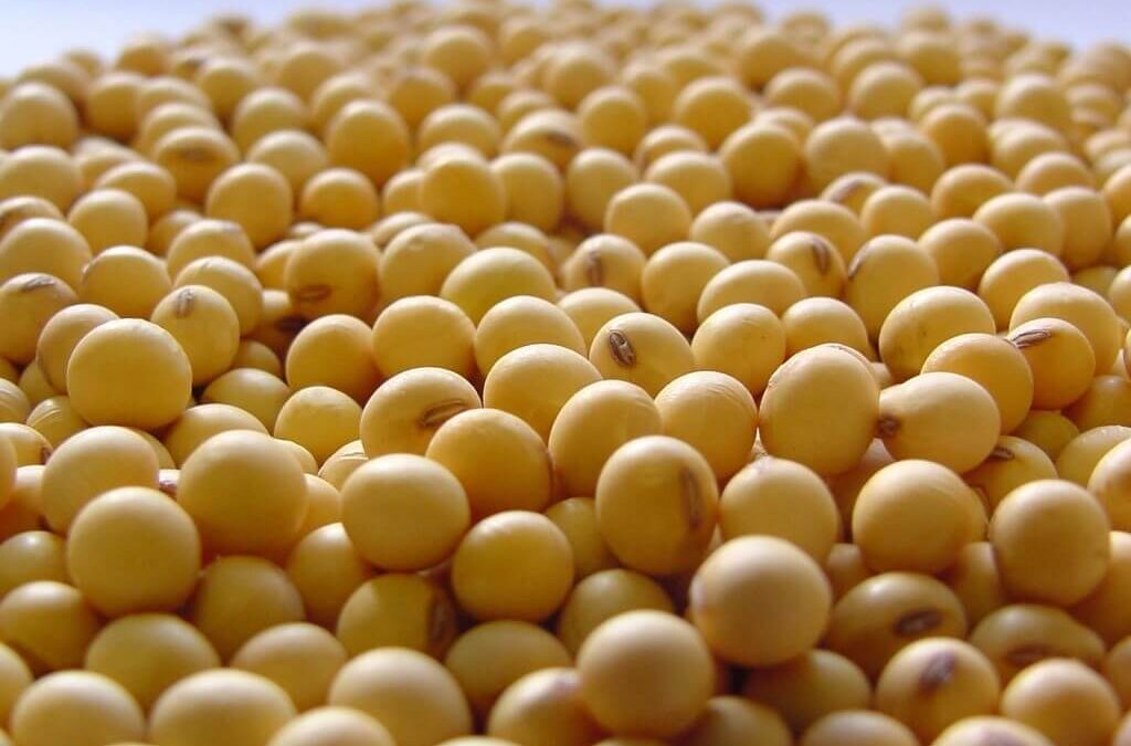 Análisis del poder de compra de productos claves de la producción agropecuaria