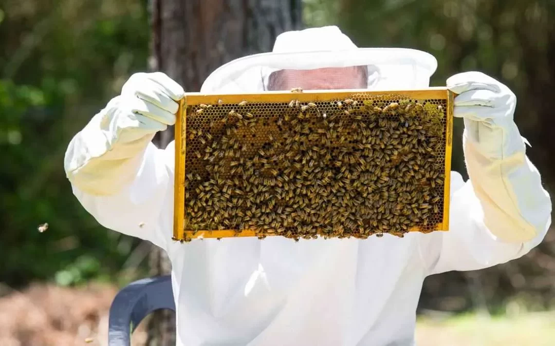 Semáforo de las Economías Regionales: una actividad pasó de amarillo a verde