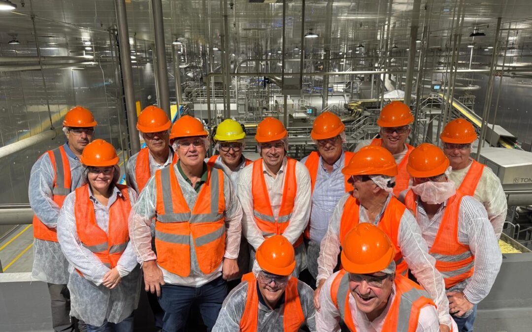 Menos siembra, más valor: la papa busca recomponerse tras un año crítico