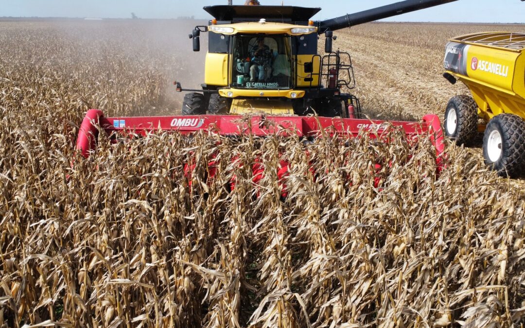 El conflicto en Medio Oriente sacude los mercados internacionales y el impacto llega rápido al sector agropecuario