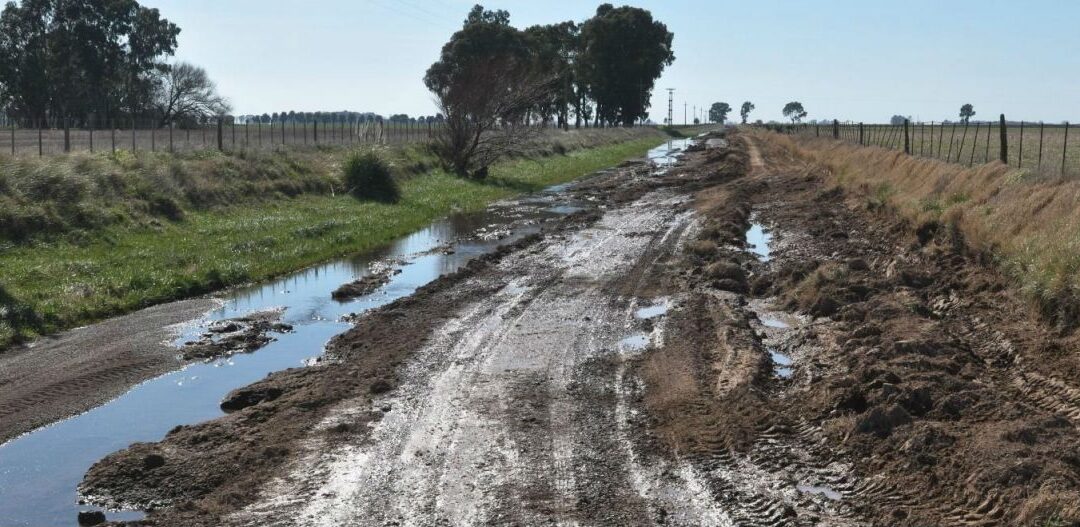 Grave situación en el sur de la provincia de Buenos Aires por el mal estado de los caminos rurales
