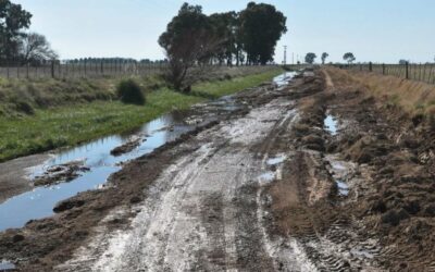 Grave situación en el sur de la provincia de Buenos Aires por el mal estado de los caminos rurales