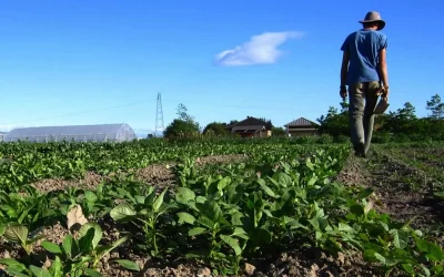Actualización obligatoria del Registro Nacional Sanitario de Productores Agropecuarios