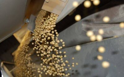 El costo de invertir: mejora la relación con granos y hacienda, pero persisten desafíos